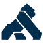 Kong Gateway