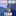 PWN Wiki